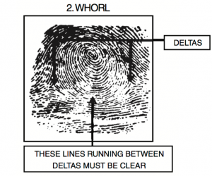 Fingerprint and FBI Fingerprint Card