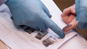 ACE-V, method to examinate and document latent fingerprints