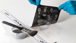 A forensic expert taking forensic evidence at a crime scene Finding Forensic Evidence