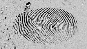 latent fingerprint