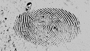 Fingerprint