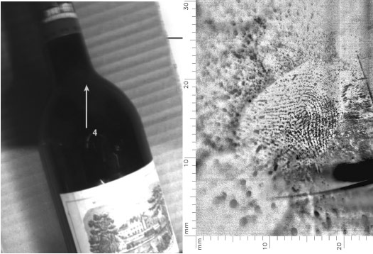 fingerprint on wine bottle