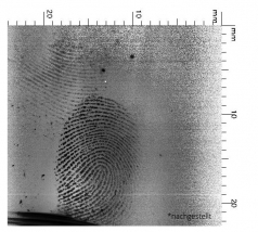 fingerprint on wine bottle detected with EVISCAN